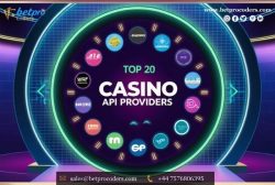 Top 20 Casino API Providers in Bangladesh