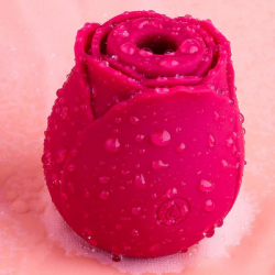 Upgrade Your Collection with Tracy’s Dog Rose Toy Vibrator