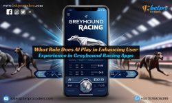 What Role Does AI Play in Enhancing User Experience in Greyhound Racing Apps