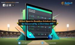 What Sports Besides Cricket Can be Covered by a Live Line API