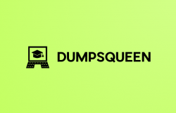 DumpsQueen Dumps PDF: The Best Exam Prep Resource Available