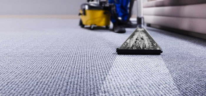 Professional Carpet Cleaning in Sydney | CleanDry 1st Choice