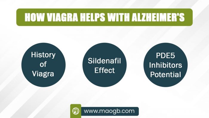 How Viagra Helps with Alzheimer’s