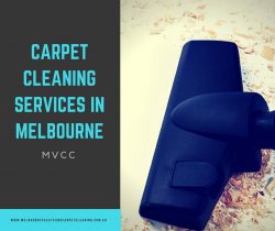 Professional Carpet Cleaning Services in Melbourne – Fresh & Spotless Carpets