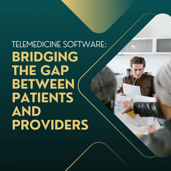 Telemedicine Software: Bridging the Gap Between Patients and Providers