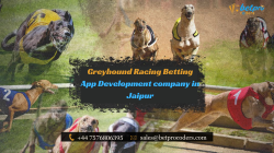 Top Greyhound Racing Betting App Development company in Jaipur