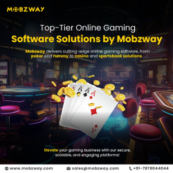 Top-Tier Online Gaming Software Solutions by Mobzway