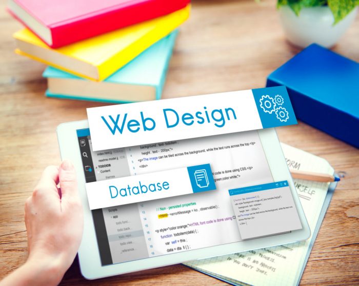 Work with the Best Website Design Company in India for Digital Growth