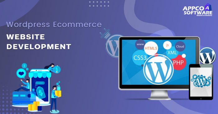 Affordable WordPress Ecommerce Website Development Services