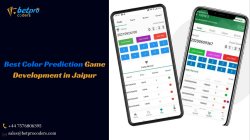 Best Color Prediction Game Development in Jaipur