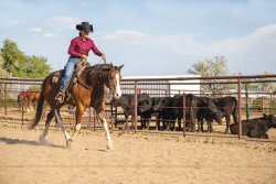 Gerard Micklos| The former CEO now enjoys spending time on his ranch raising horses