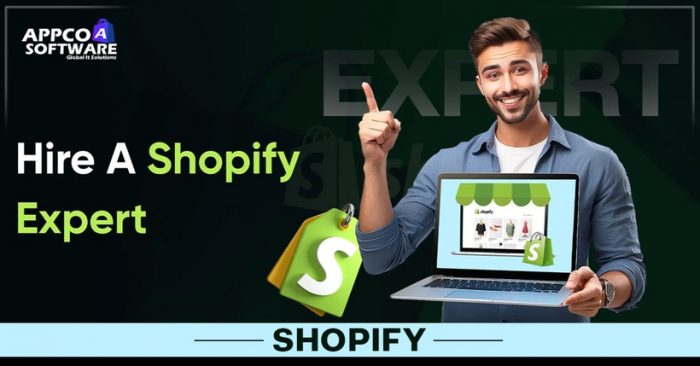 Hire Shopify Experts for High-Performing Online Stores