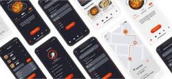 Invoidea is Best Food Delivery App Development Company in India