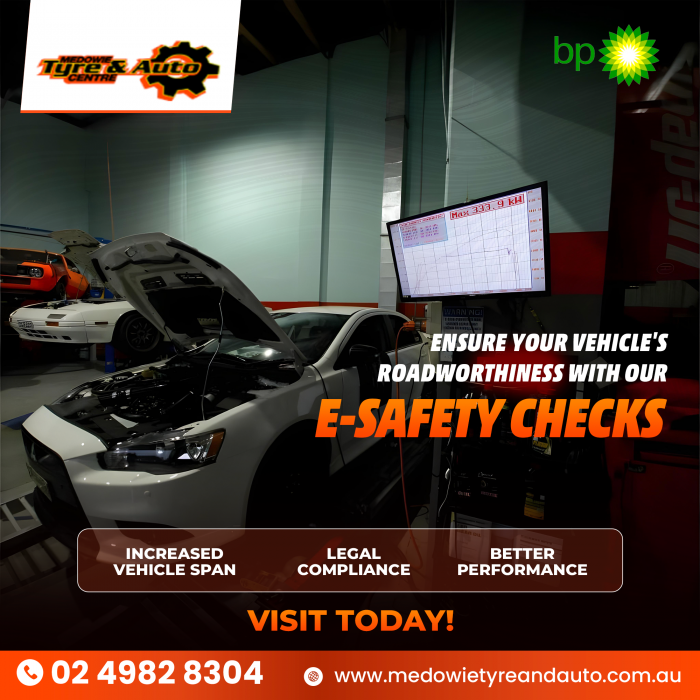 Reliable E-Safety Checks | Medowie Tyre & Auto Centre