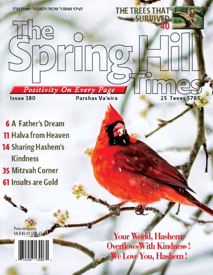 The Spring Hill Times Issue 180 Parshas Va’eira 5785 Downloadable Version