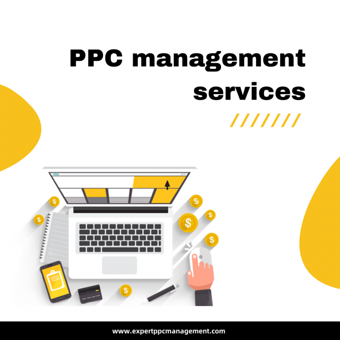 PPC management services