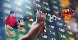 Sports betting software developers