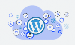 Best WordPress Development Service in India for Businesses & Bloggers