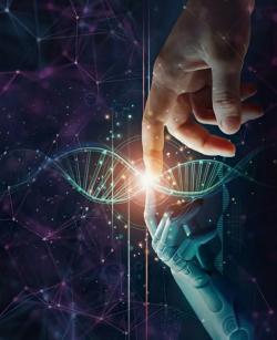 KYC Screening software