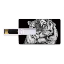 Discover Custom USB Flash Drives in Bulk to Upgrade Office Supplies