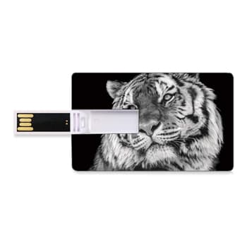 Discover Custom USB Flash Drives in Bulk to Upgrade Office Supplies