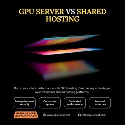 GPU Server vs Shared Hosting: Which One Powers Performance Better?