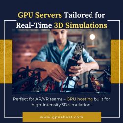 GPU Servers Tailored for Real-Time 3D Simulations