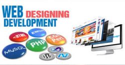 Invoidea is Affordable Website Development Company in Delhi