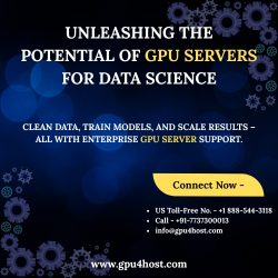 Unleashing the Potential of GPU Servers for Data Science