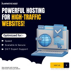 Unstoppable Hosting for High-Traffic Websites