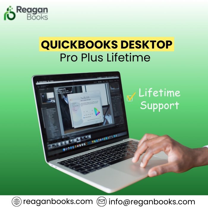QuickBooks Desktop Pro Plus Lifetime