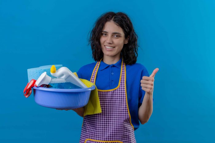 Maid in Delhi: Easy Guide for First-Time Users