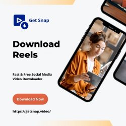 Fast Reels Video Download