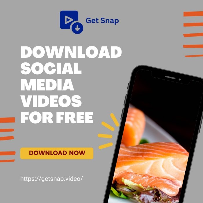 Reels Video Saver