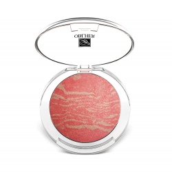 Autumn And Winter Daily Baked Blush