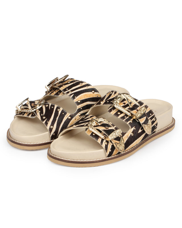 Shop Alpha Ambition Slides for Women Online