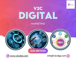 Why Hire a Digital Marketing Freelancer in India?