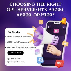 Choosing the Right GPU Server: RTX A5000, A6000, or H100?