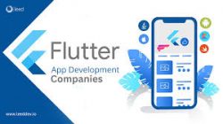 Invoidea is Affordable Flutter App Development Company in India