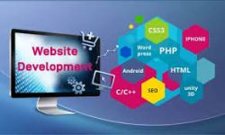 Partner With Best Web Development Company in Noida