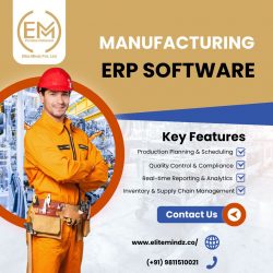 Efficient ERP for Manufacturing – Control Every Stage of Production