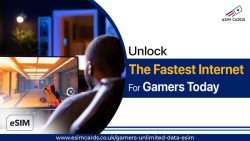 Gaming Without Lag: Choose the Right Internet for Gamers