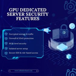 Essential Security Features to Look for in a GPU Dedicated Server