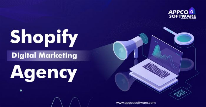 Professional Digital Marketing Services and Agency