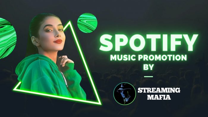 Elevate Your Music Career