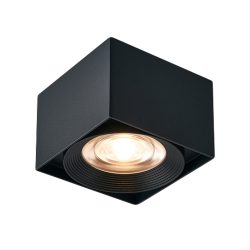 Sleek Lighting Solutions with Surface Mount Downlight