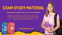 Dumps Queen Helps You Learn at Your Own Pace via DumpsQueen