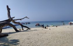 Tour and Travel Agents in Kolkata: Crafting Seamless Travel Experiences