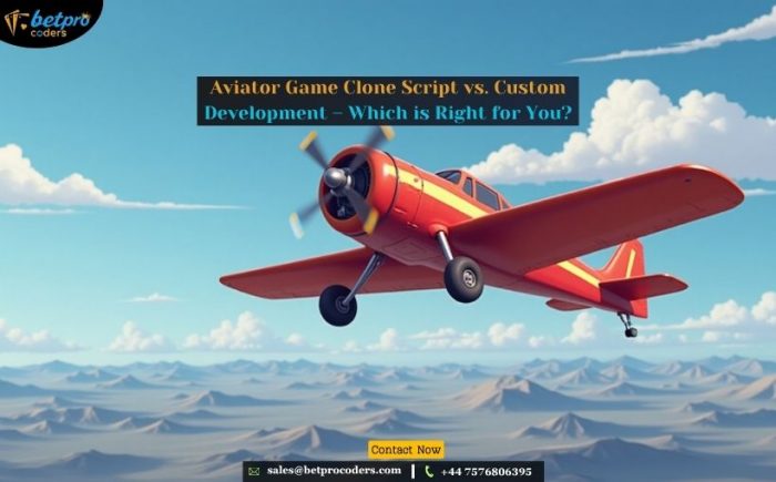 Aviator Game Clone Script vs. Custom Development – Which is Right for You