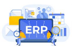 Tailored Custom ERP Software Development Company for Integrated Operations
